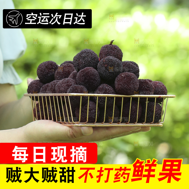 手里拿着一篮新鲜杨梅