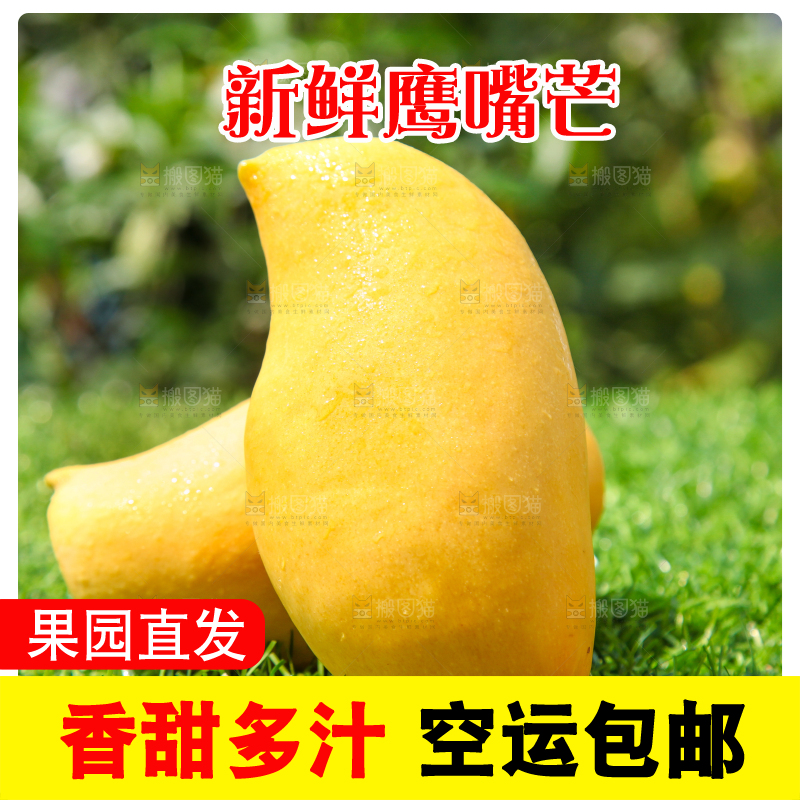 绿草地上摆放着鹰嘴芒果