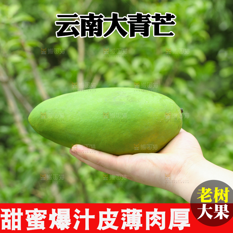 手里拿着大青芒