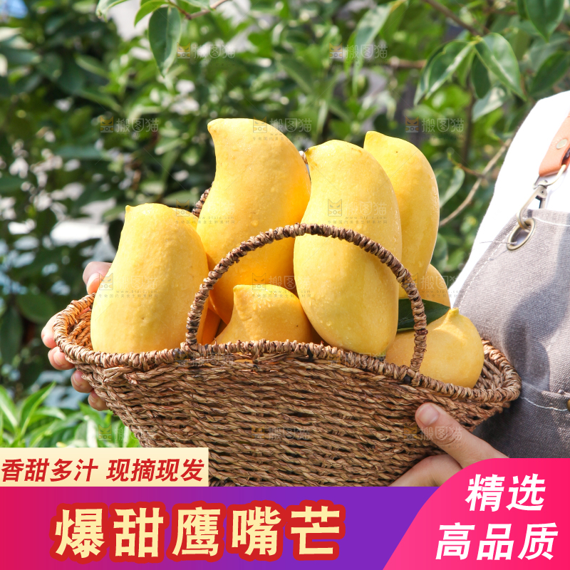 手里提着一篮云南鹰嘴芒