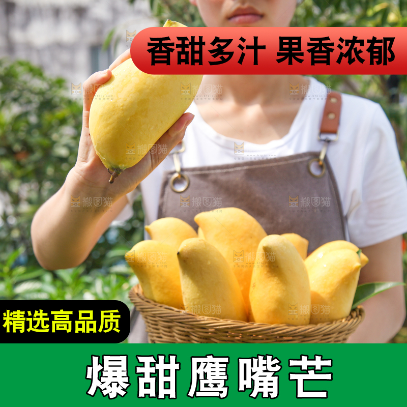 手里端着一篮鹰嘴芒果