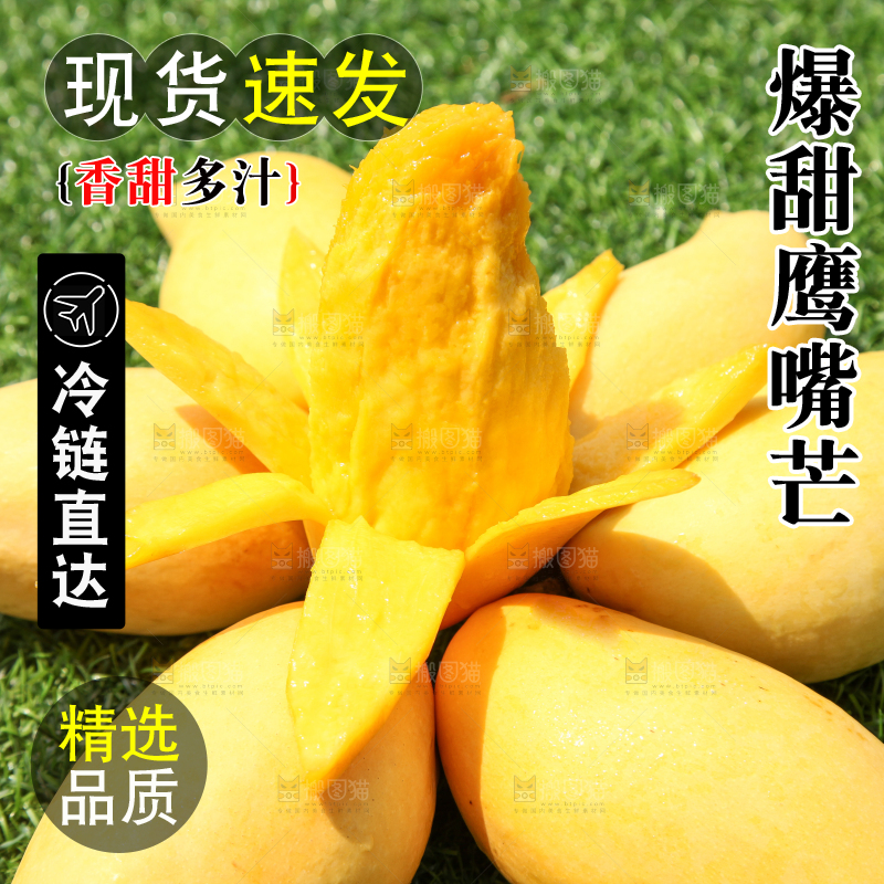 绿草地上摆放着鹰嘴芒果