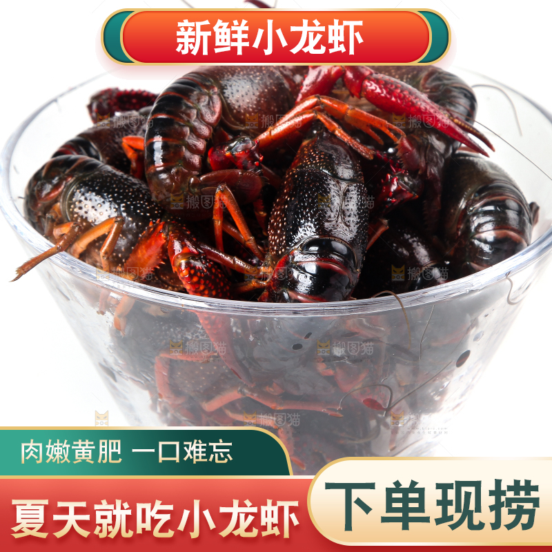 盆子里装着潜江小龙虾