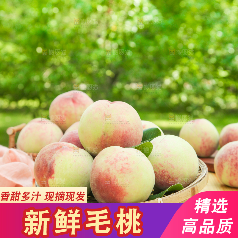 篮子里装着毛桃