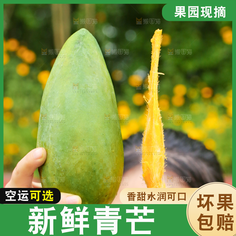 手里拿着青芒
