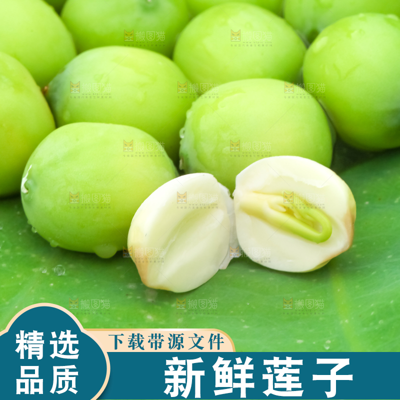 荷叶上放着新鲜莲蓬子