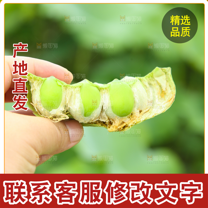 手里拿着莲蓬子