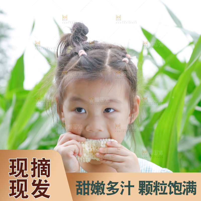 小女孩正在吃牛奶水果玉米