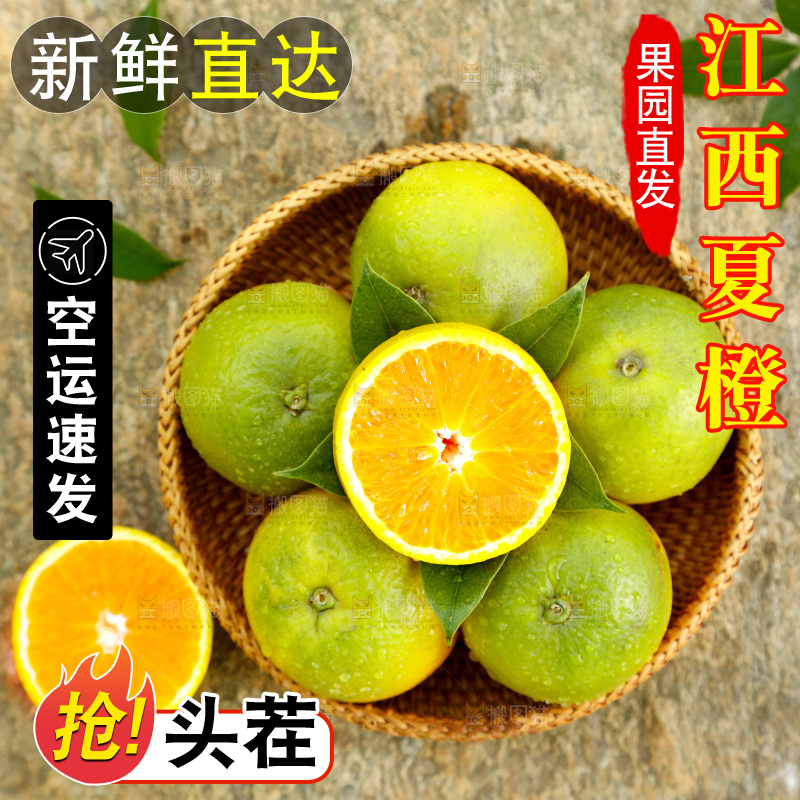 篮子里装着秭归夏橙