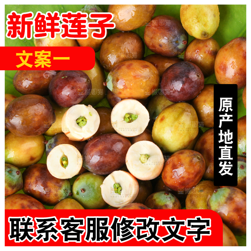 荷叶上摆放着莲蓬子