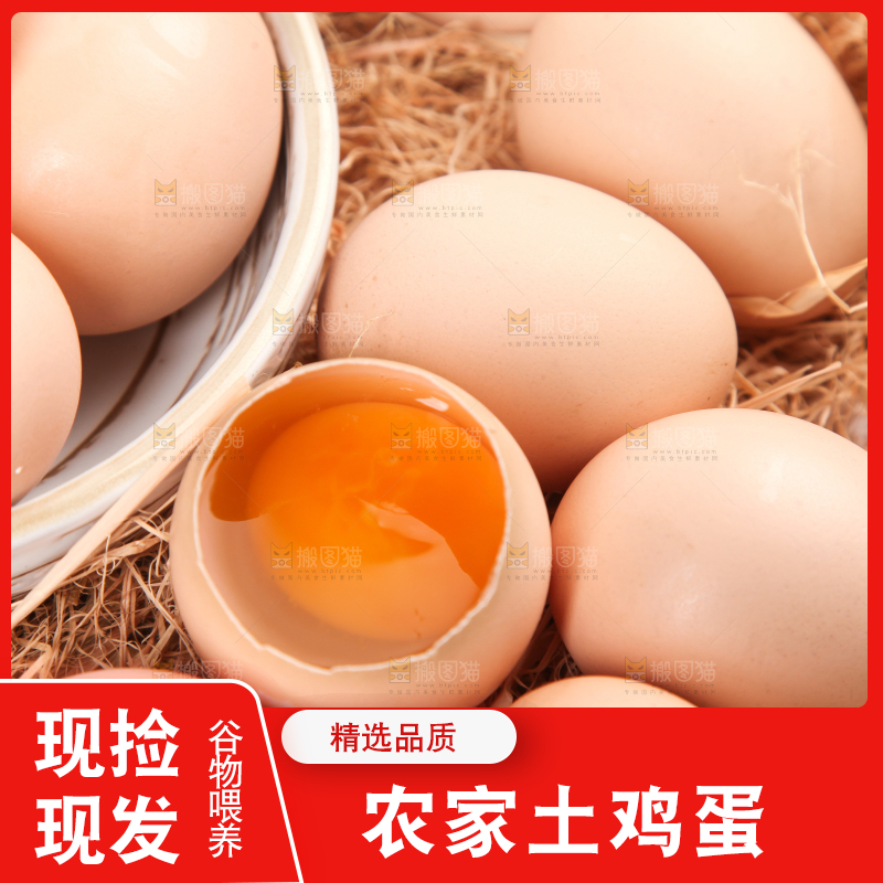 草堆上摆放着散养土鸡蛋