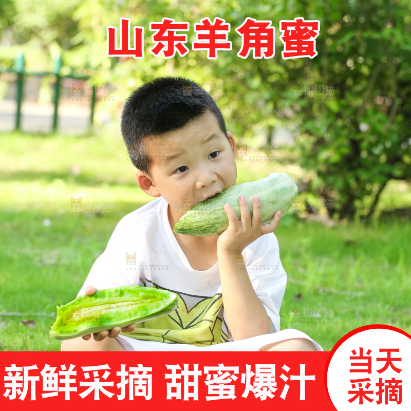 小男孩正在吃羊角蜜