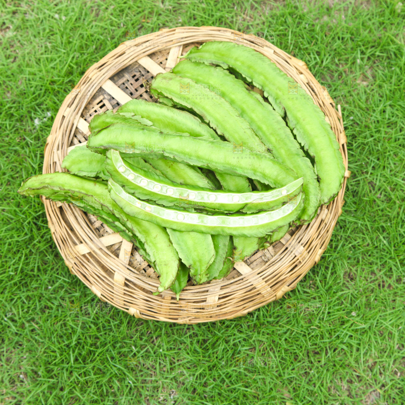草地上放着一篮四角豆