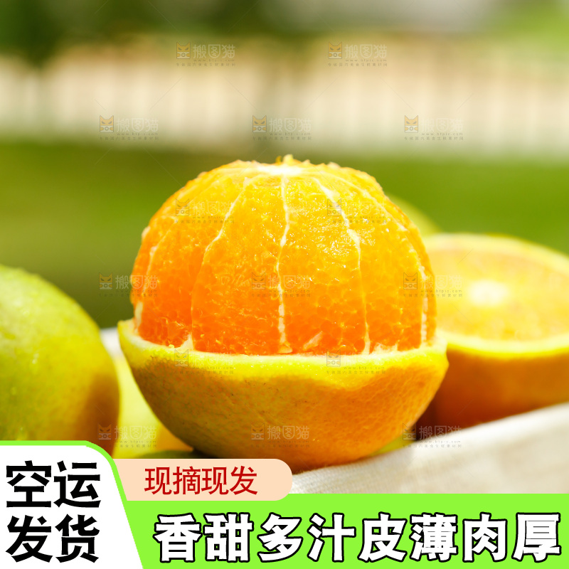 篮子里装着夏橙