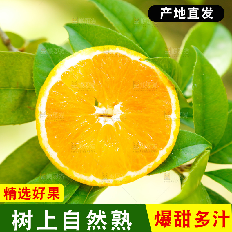 手里拿着新鲜夏橙