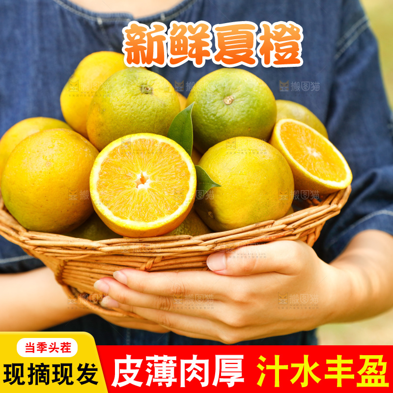手里端着一篮秭归夏橙