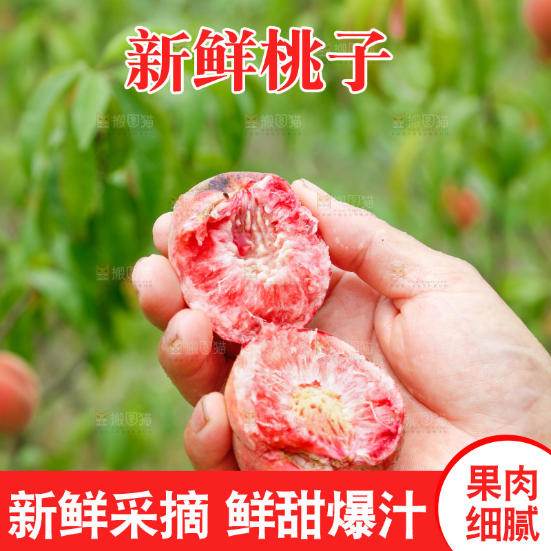 手里拿着新鲜胭脂红