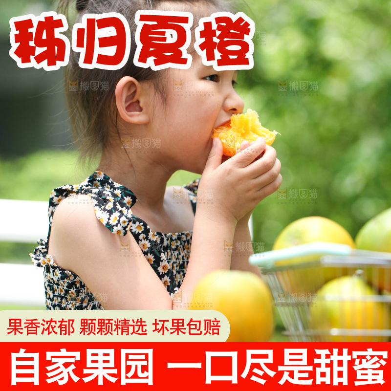 小女孩正在吃夏橙