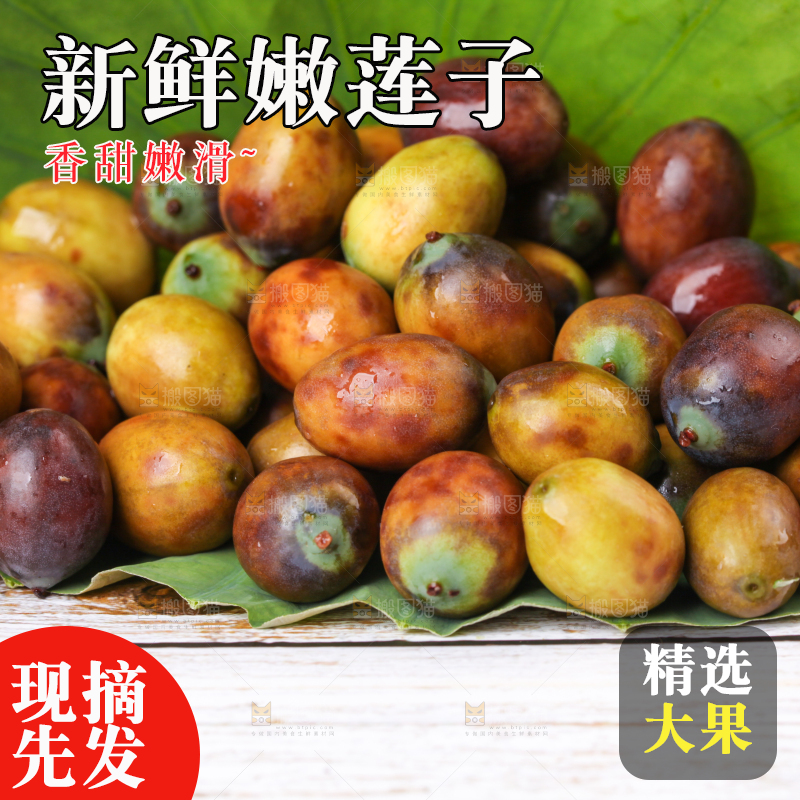 荷叶上摆放着莲蓬子