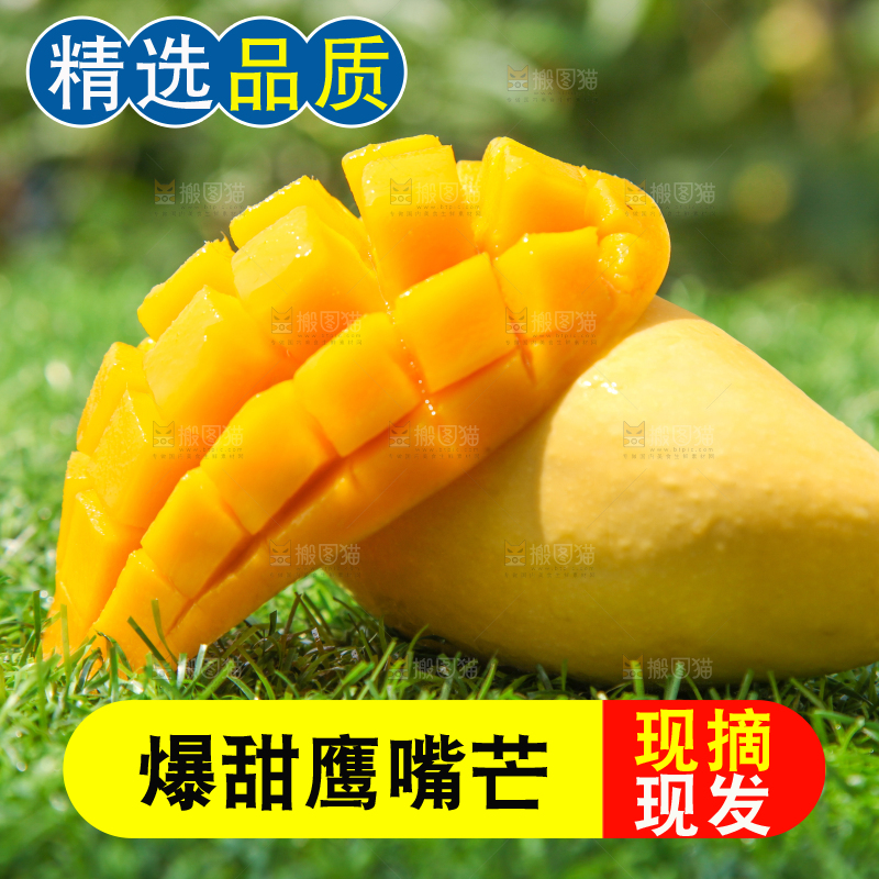 绿草地上摆放着鹰嘴芒果