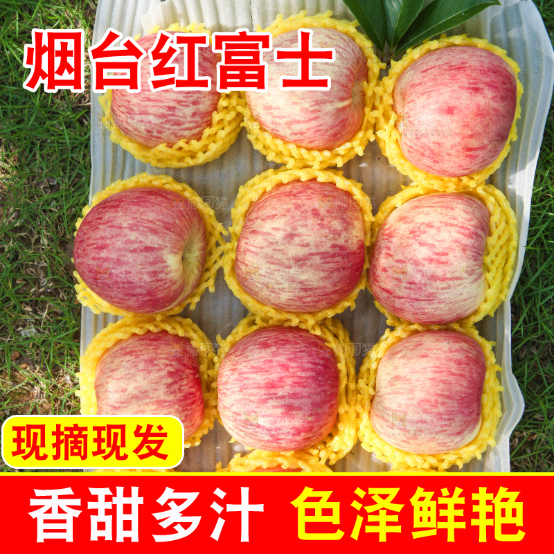 草地上摆放着红富士