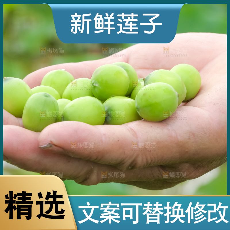 手里拿着莲子