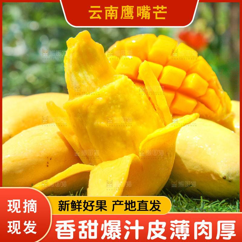 绿草地上摆放着鹰嘴芒果