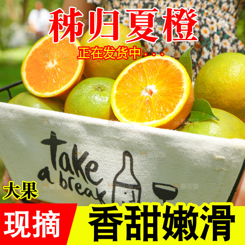 手里端着一篮夏橙