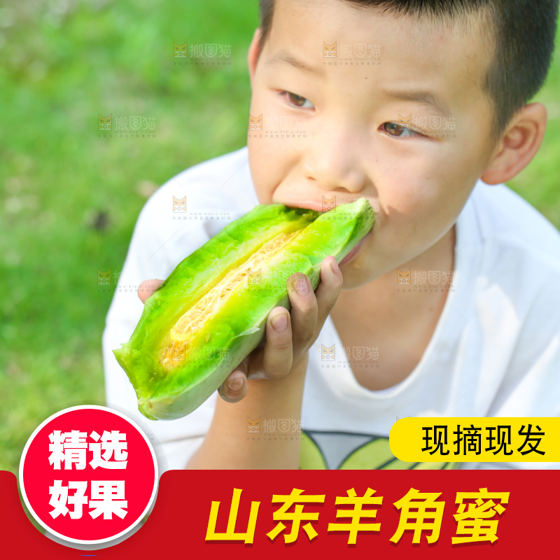 小男孩正在吃羊角蜜