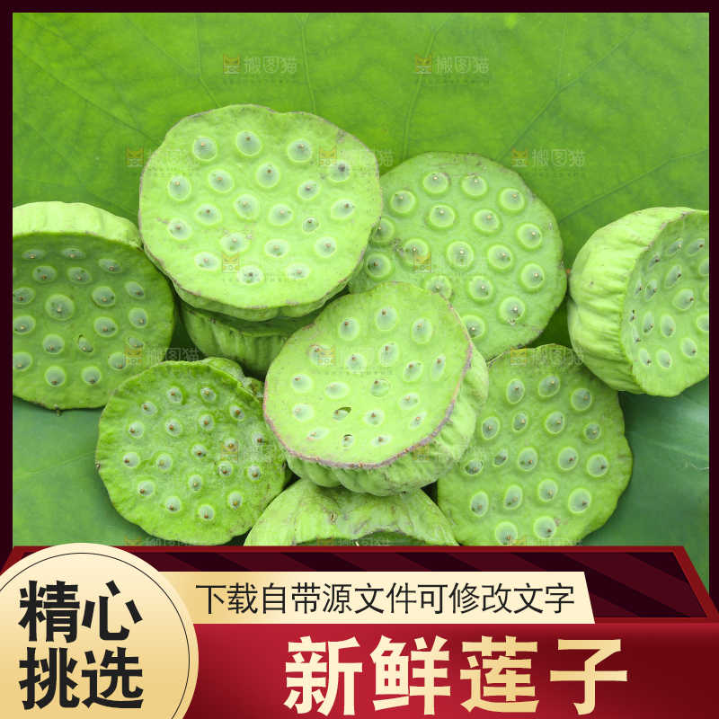 荷叶上放着新鲜莲蓬