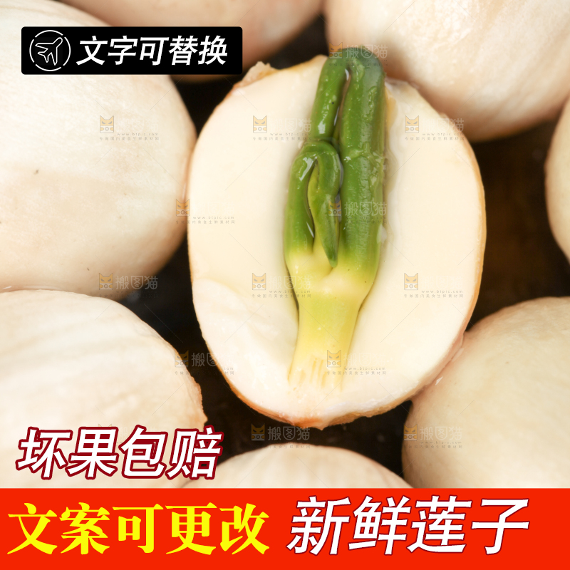整齐摆放着的莲子米