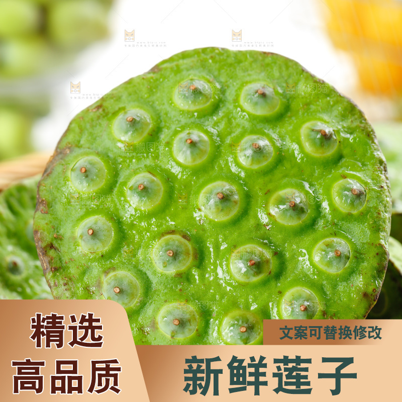 篮子里装着莲蓬