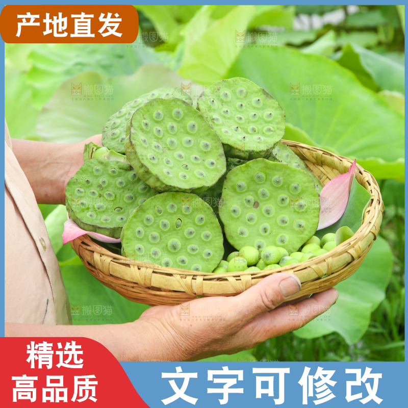 手里端着一篮新鲜莲蓬