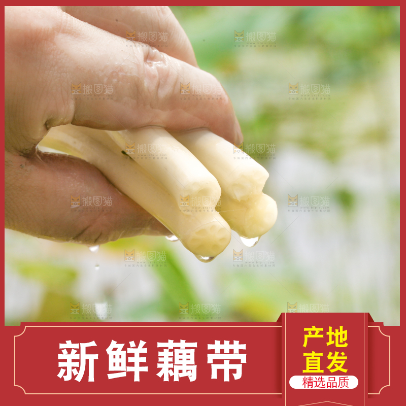 手里拿着新鲜藕带