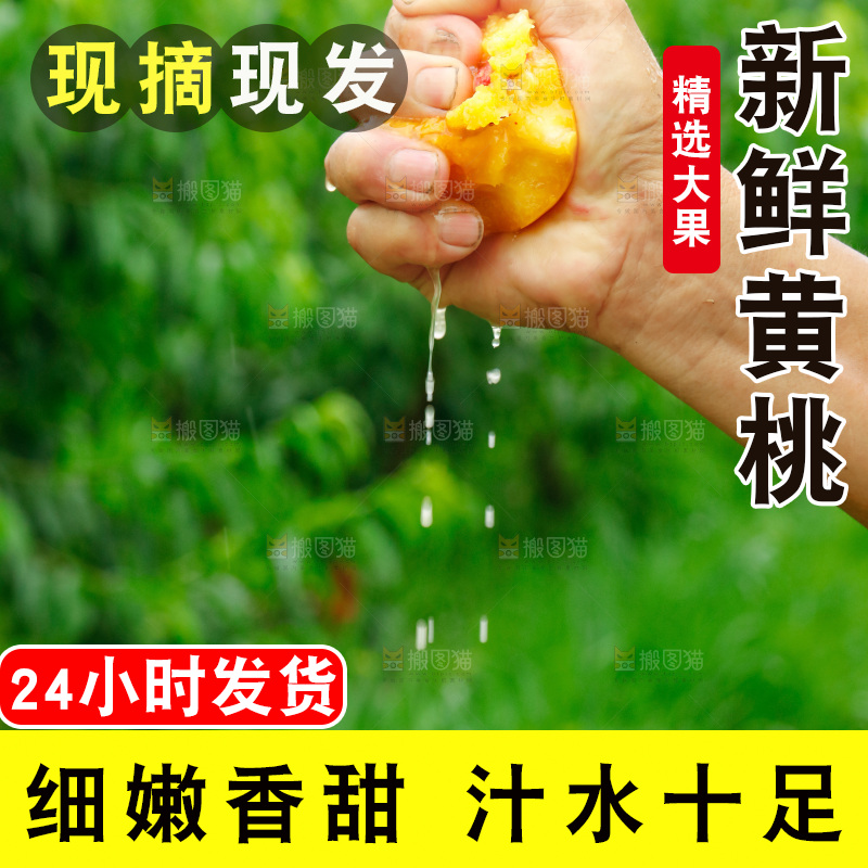 手里拿着新鲜黄桃