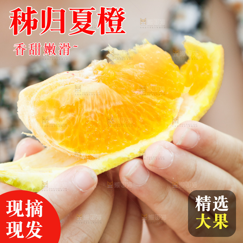 手里拿着一块橙子