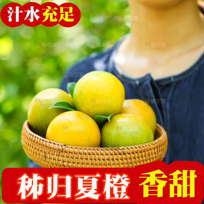 手里拿着一篮新鲜夏橙