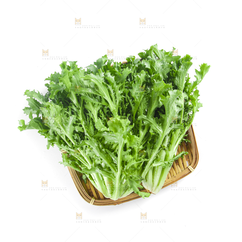 篮子里装着苦菊