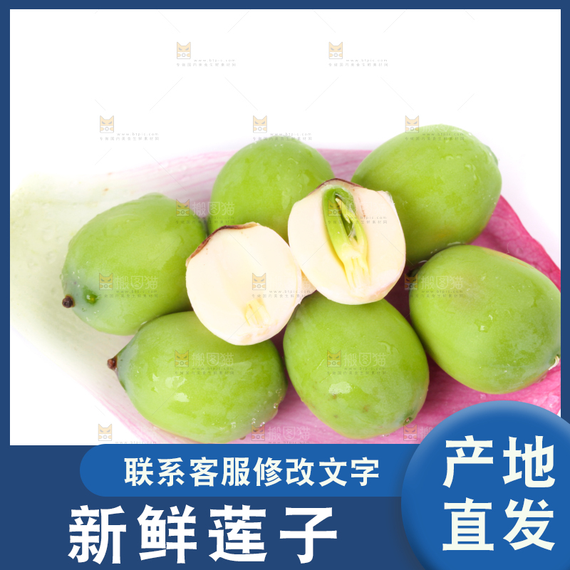 荷花上摆放着嫩莲子