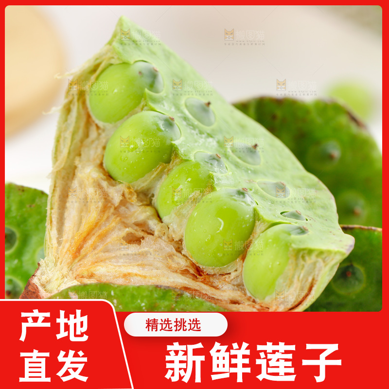 摆放着一堆的莲蓬子