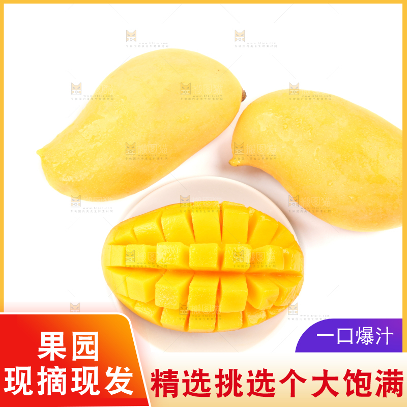 白底上放着象牙芒