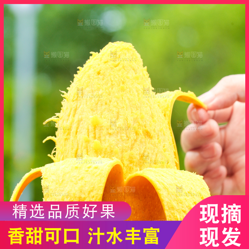 手里拿着水芒果