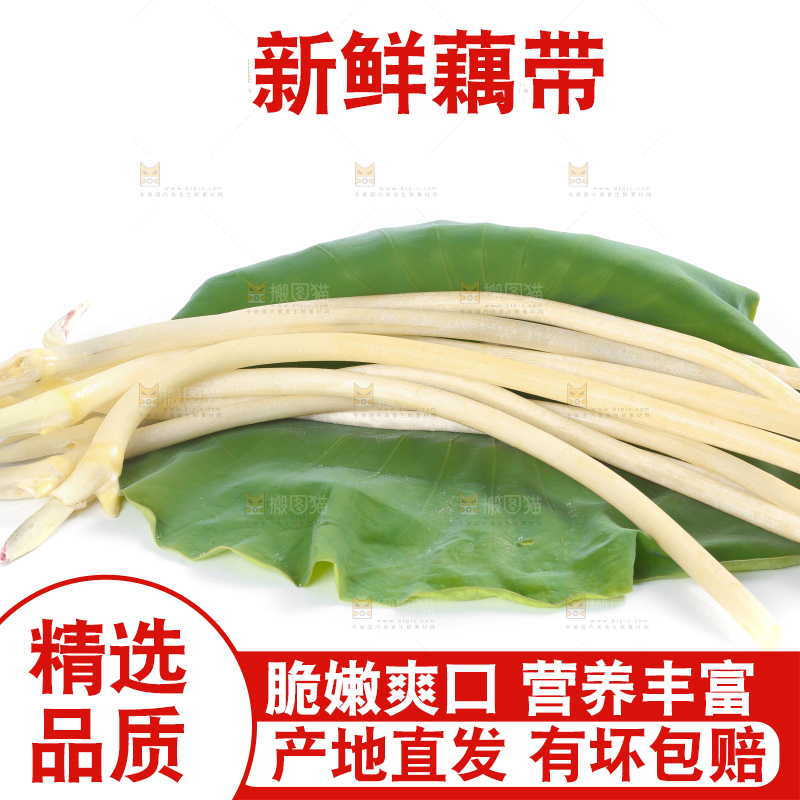 荷叶上放着新鲜藕带