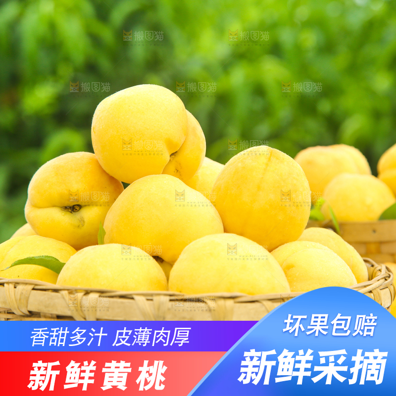 桌子上摆放着一篮砀山黄桃