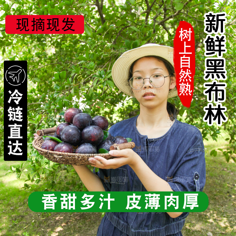 手里端着一篮新鲜黑布李