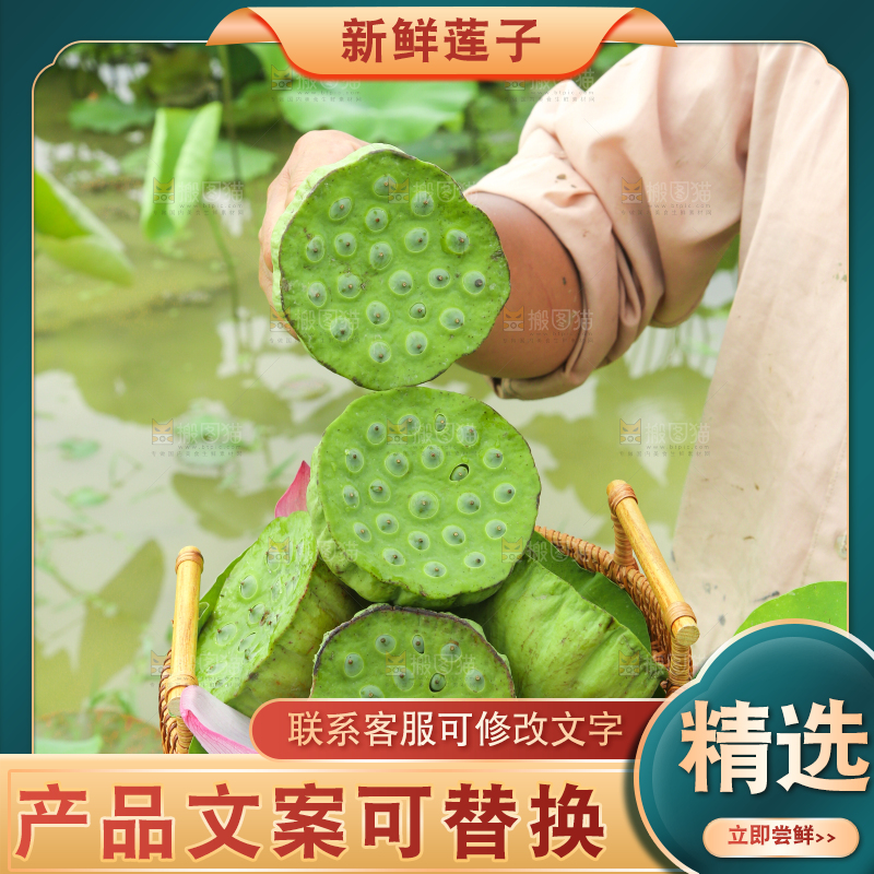 篮子里装着莲蓬子