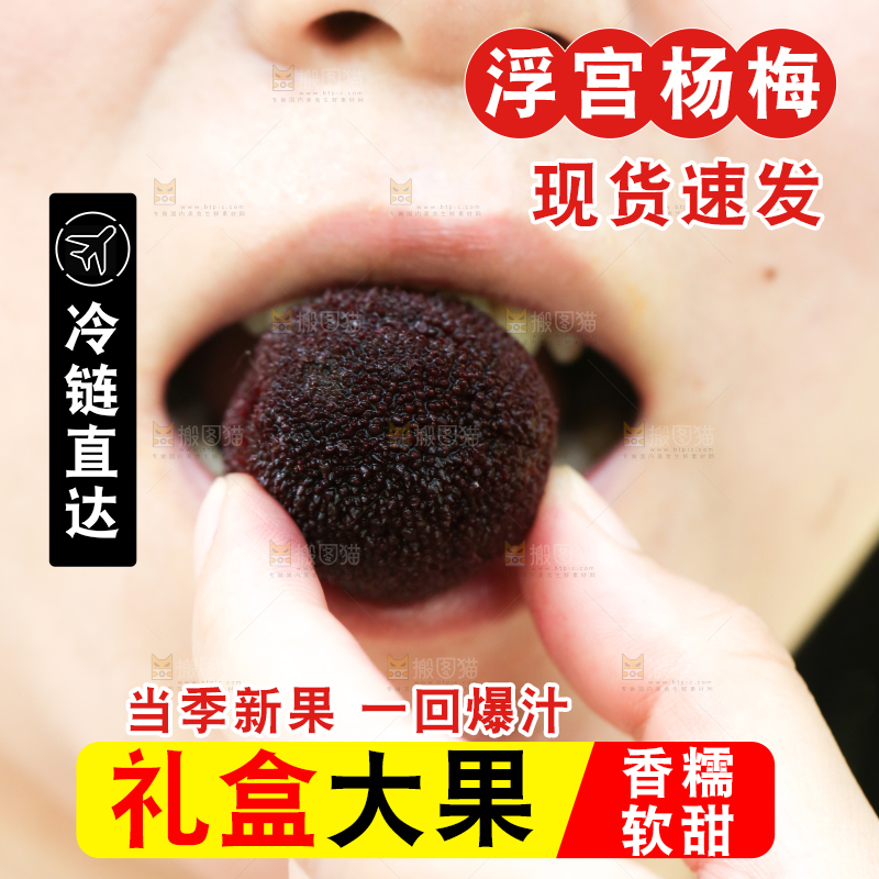 手里拿着野生杨梅