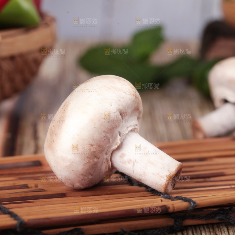 木底上摆放着白菌菇