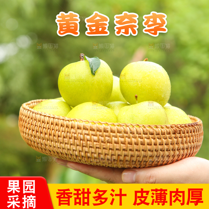 手里拿着一篮黄金奈李