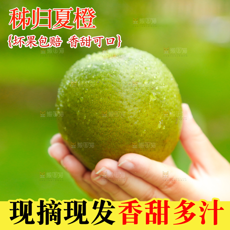 手里拿着夏橙